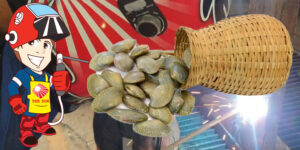 บทความที่น่าสนใจ 2 5-parameter-CLAMS-for-begginer